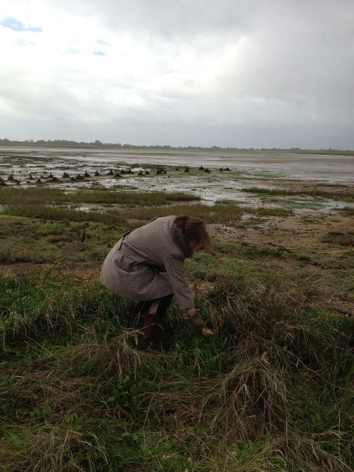 1511249_545766282203544_832383457_n